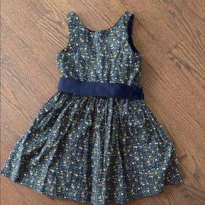 Polo by Ralph Lauren Blue and White Fit and Flare Sundress in 3T